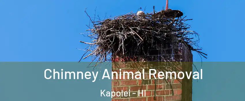  Chimney Animal Removal Kapolei - HI