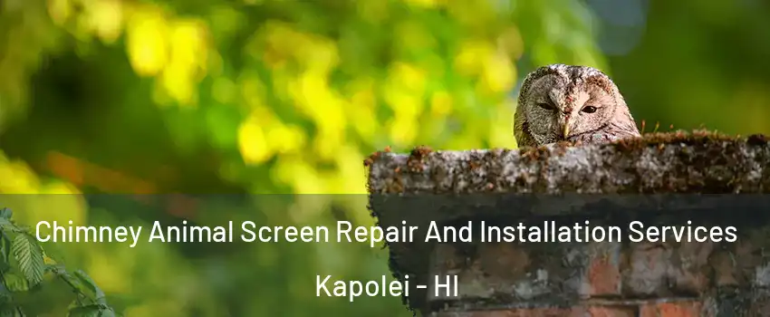  Chimney Animal Screen Repair And Installation Services Kapolei - HI