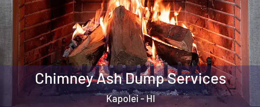  Chimney Ash Dump Services Kapolei - HI