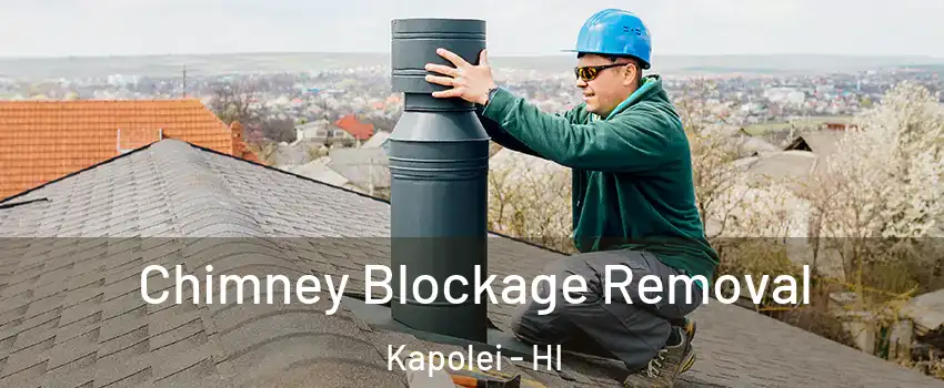  Chimney Blockage Removal Kapolei - HI