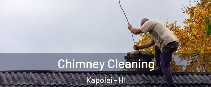  Chimney Cleaning Kapolei - HI
