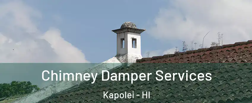  Chimney Damper Services Kapolei - HI