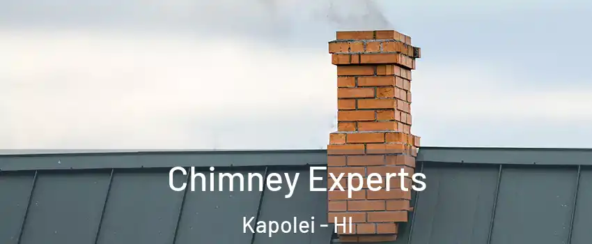  Chimney Experts Kapolei - HI
