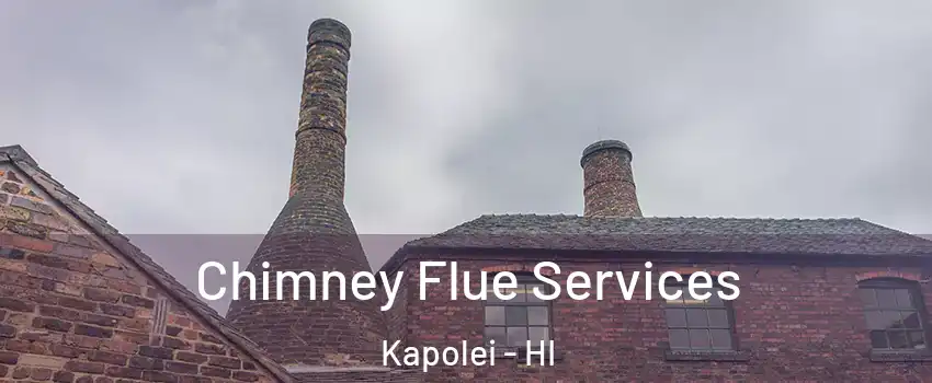  Chimney Flue Services Kapolei - HI
