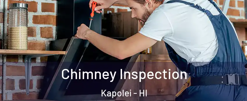  Chimney Inspection Kapolei - HI