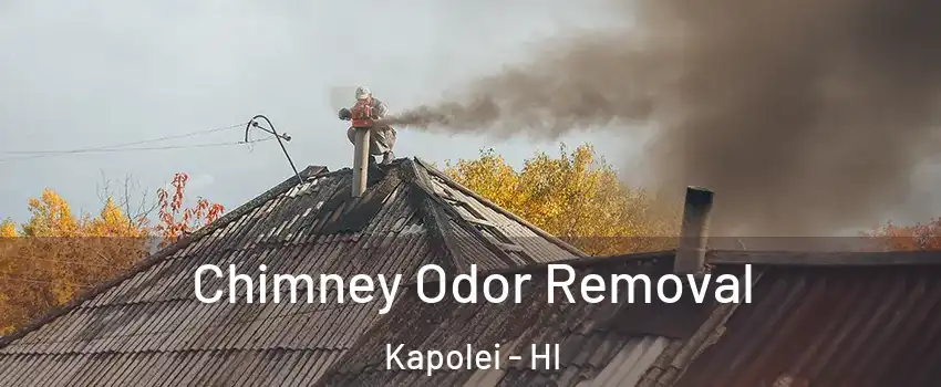  Chimney Odor Removal Kapolei - HI