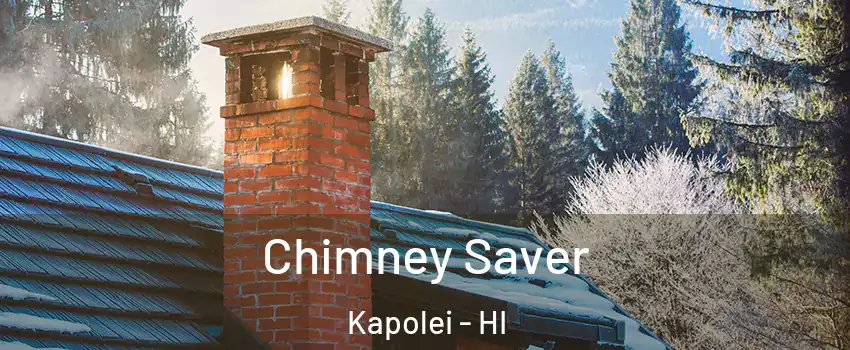  Chimney Saver Kapolei - HI