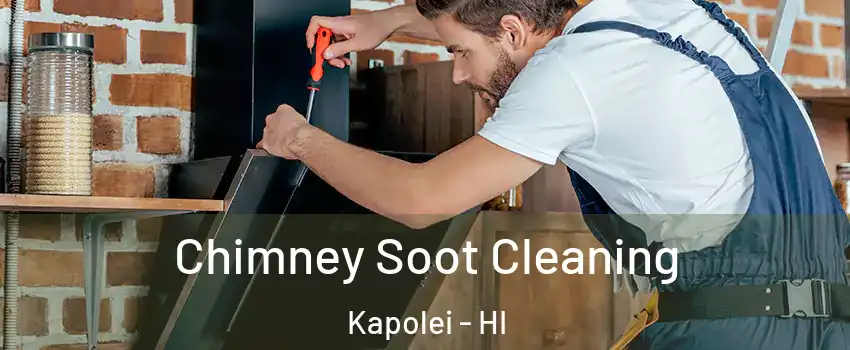  Chimney Soot Cleaning Kapolei - HI