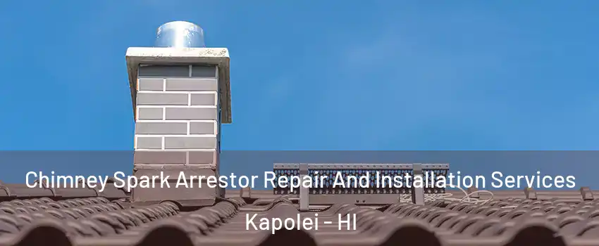  Chimney Spark Arrestor Repair And Installation Services Kapolei - HI