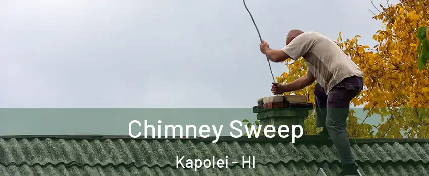  Chimney Sweep Kapolei - HI