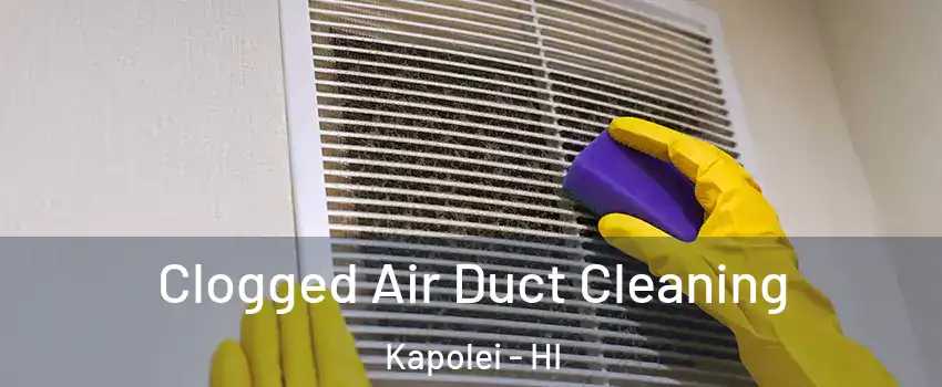  Clogged Air Duct Cleaning Kapolei - HI