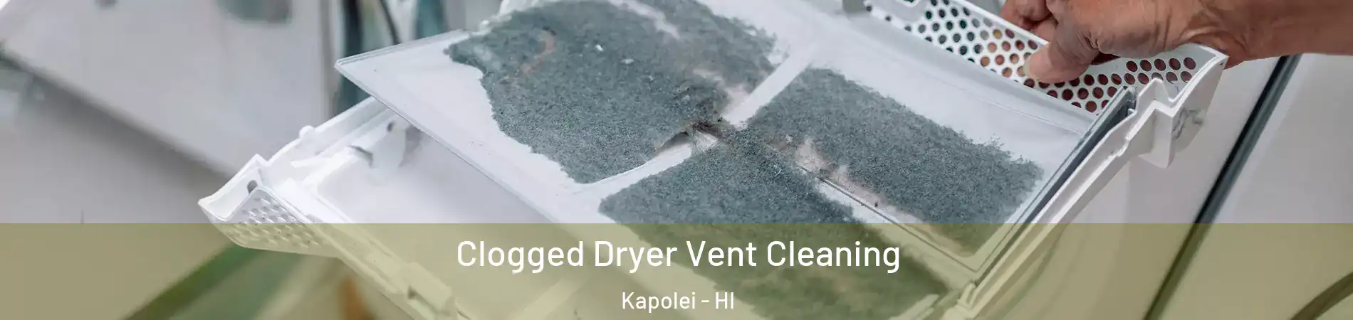  Clogged Dryer Vent Cleaning Kapolei - HI