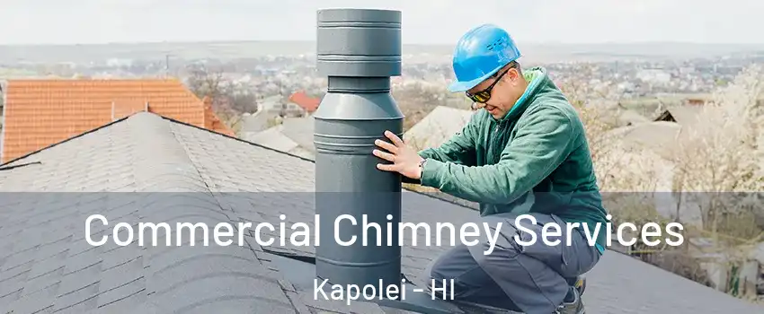  Commercial Chimney Services Kapolei - HI