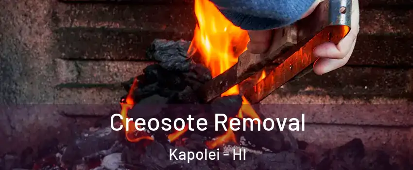  Creosote Removal Kapolei - HI