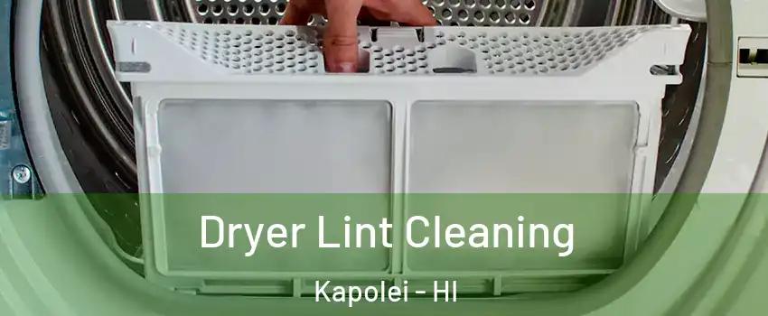  Dryer Lint Cleaning Kapolei - HI