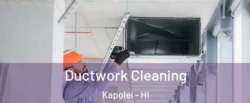  Ductwork Cleaning Kapolei - HI