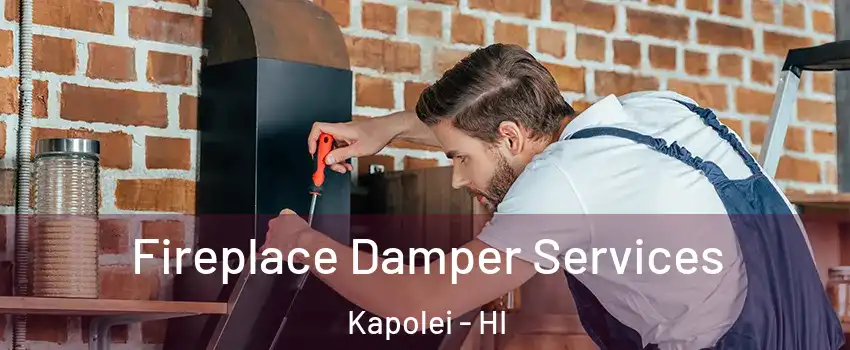  Fireplace Damper Services Kapolei - HI