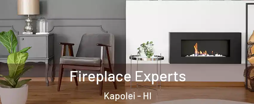 Fireplace Experts Kapolei - HI