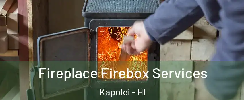  Fireplace Firebox Services Kapolei - HI
