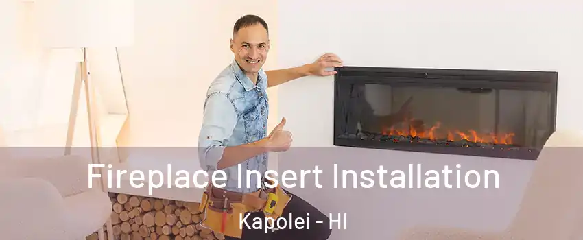  Fireplace Insert Installation Kapolei - HI