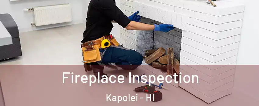  Fireplace Inspection Kapolei - HI
