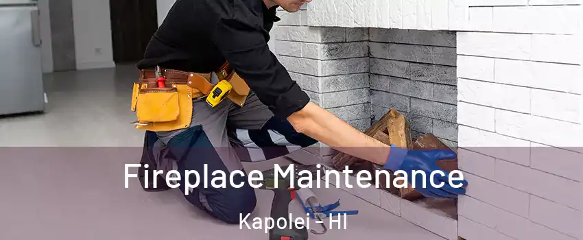  Fireplace Maintenance Kapolei - HI