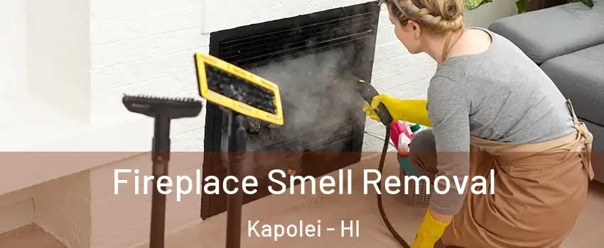  Fireplace Smell Removal Kapolei - HI