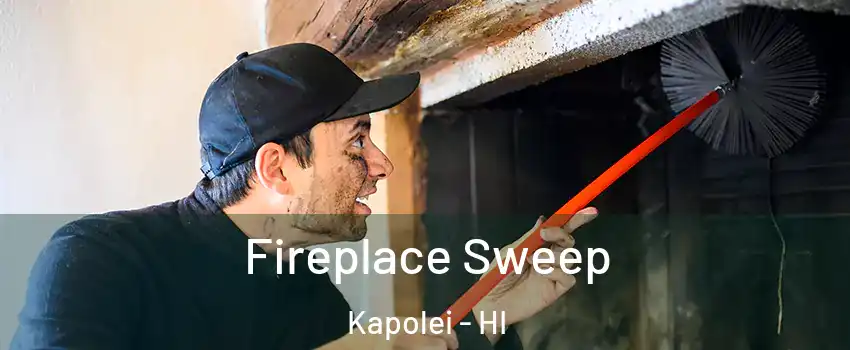  Fireplace Sweep Kapolei - HI