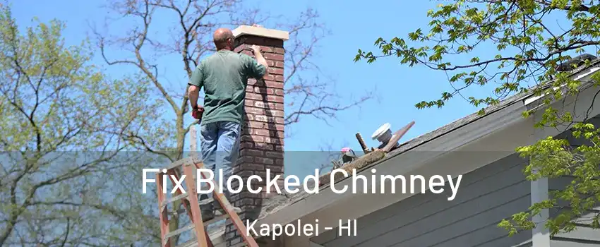  Fix Blocked Chimney Kapolei - HI