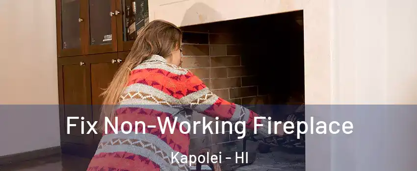  Fix Non-Working Fireplace Kapolei - HI