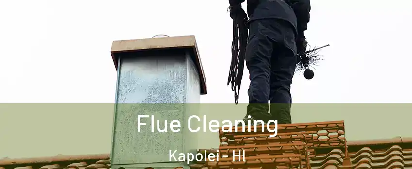  Flue Cleaning Kapolei - HI