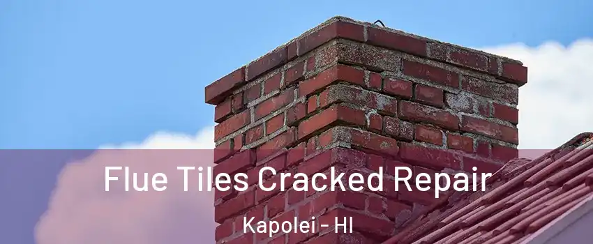  Flue Tiles Cracked Repair Kapolei - HI