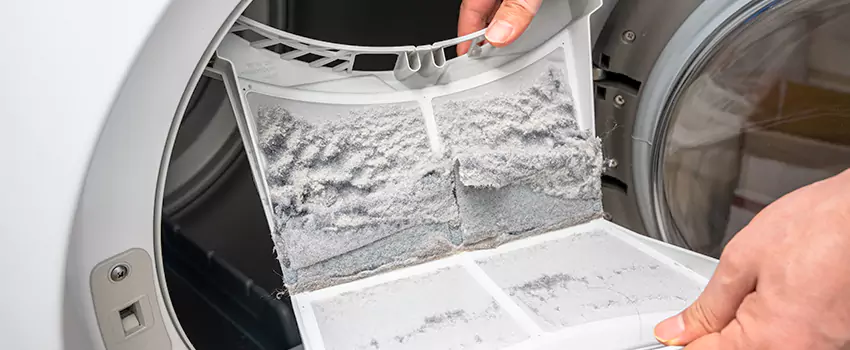 Best Dryer Lint Removal Company in Kapolei, Hawaii