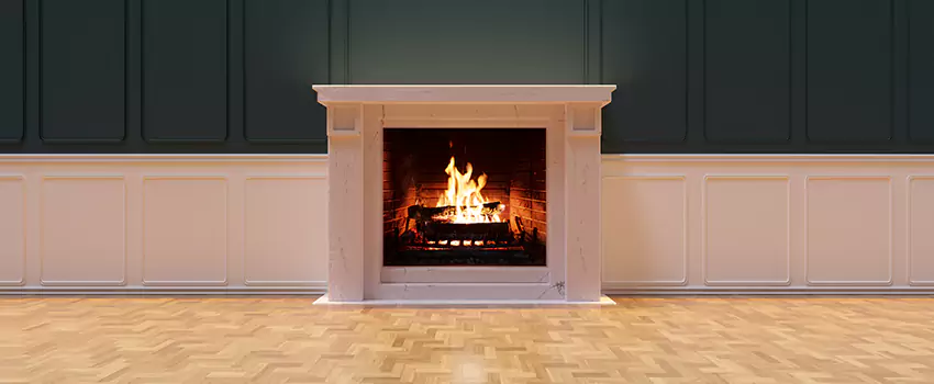 Napoleon Electric Fireplaces Inspection Service in Kapolei, Hawaii