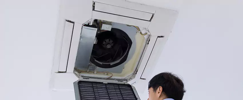 Benefits of Professional Air Duct Cleaning in Kapolei, Hawaii