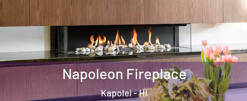  Napoleon Fireplace Kapolei - HI