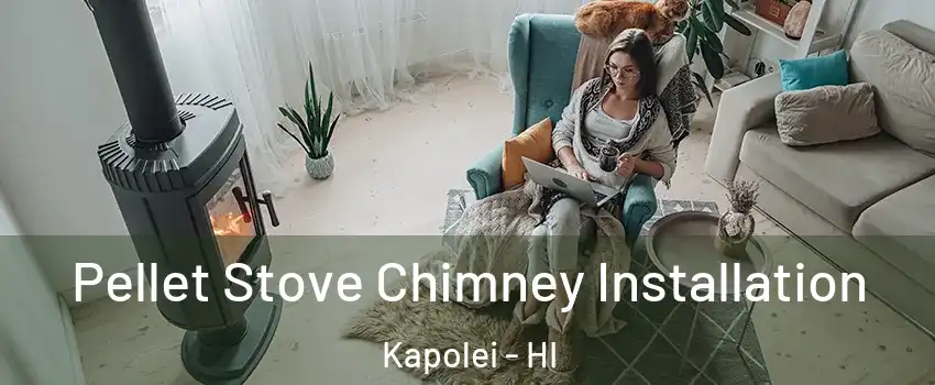  Pellet Stove Chimney Installation Kapolei - HI
