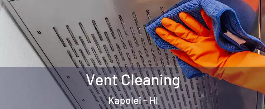  Vent Cleaning Kapolei - HI