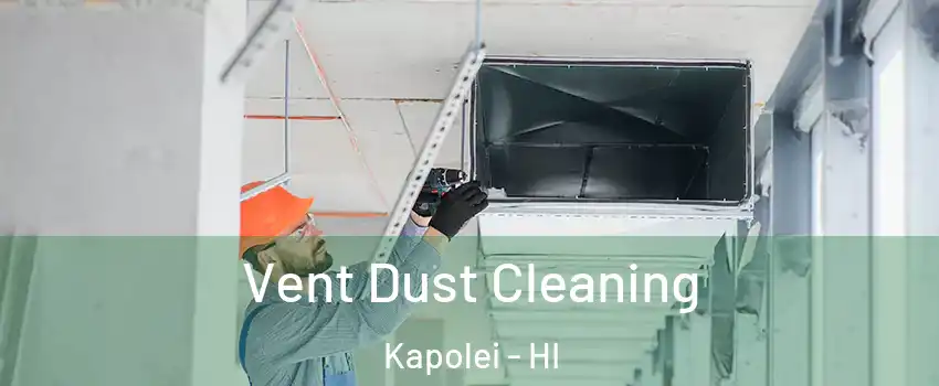  Vent Dust Cleaning Kapolei - HI