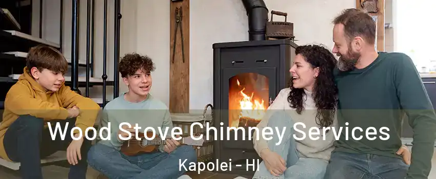  Wood Stove Chimney Services Kapolei - HI