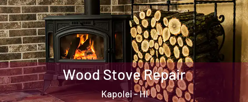  Wood Stove Repair Kapolei - HI